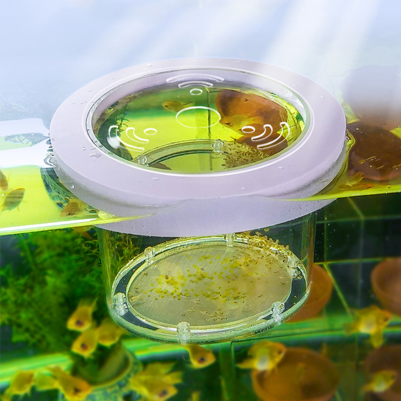 Aquarium Fish And Supplies - ระงับถังปลา Breeding การแยกกล่องอะคริลิคใส Aquarium Incubator Multifunctional