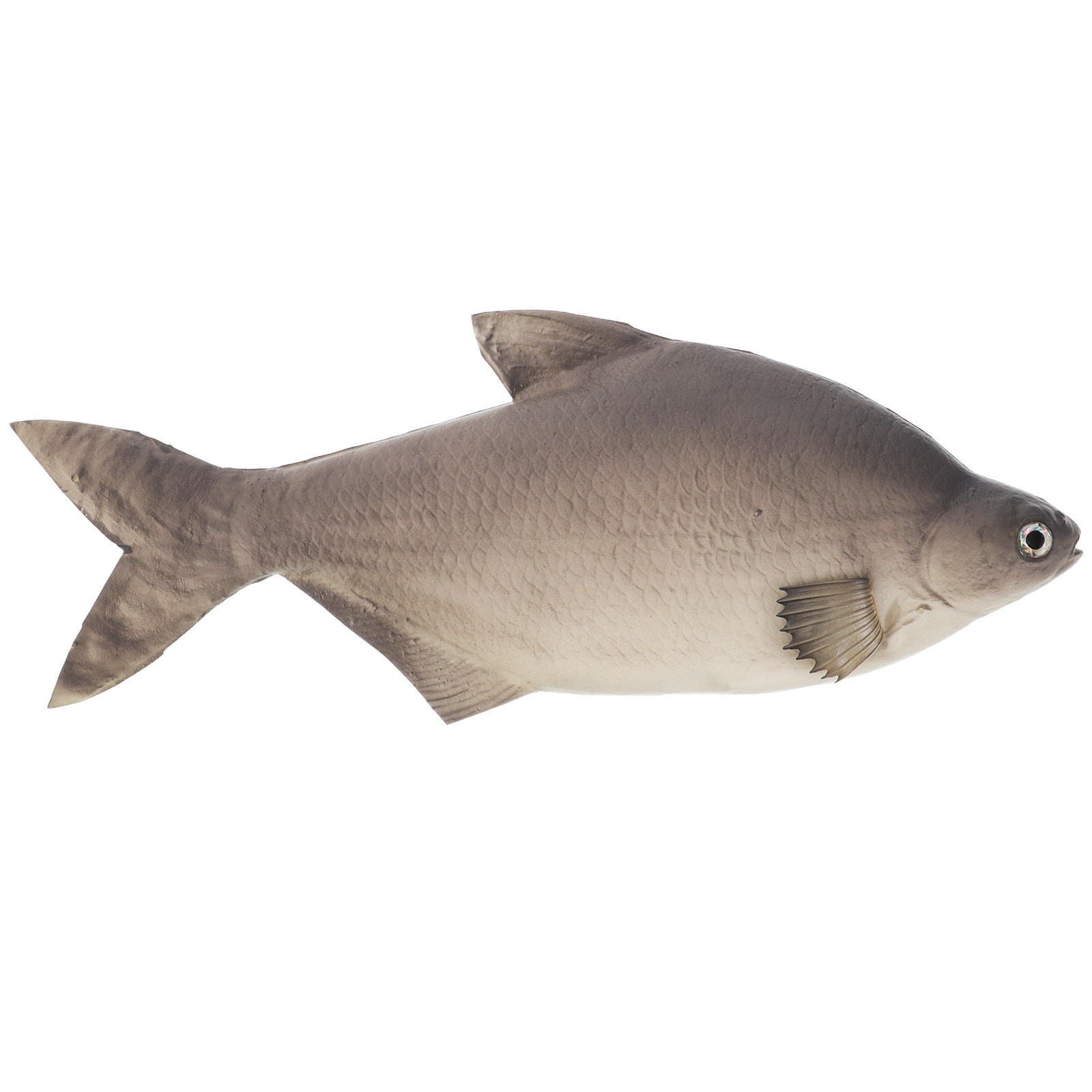 Aquarium Fish Market - ปลาจำลอง PU แบบละเอียดเหมือนจริง สำหรับตกแต่งตู้ปลา ของเล่นแมว ของตกแต่งบ้าน