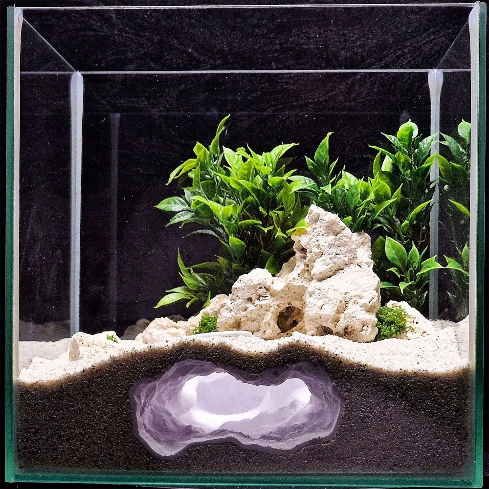 Aquarium Fish Reproduction - ตู้ปลาจำลองเสมือนจริง พร้อมภูมิทัศน์ 3 มิติ แบบพิมพ์ 3