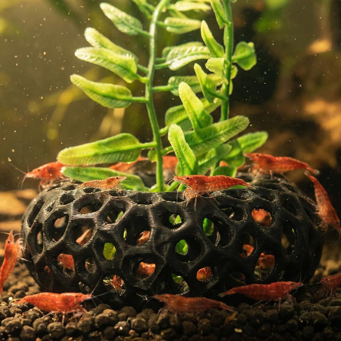 Aquarium Fish Reproduction - บ้านหลบหนีสำหรับปลาและกุ้งที่พิมพ์ด้วยเทคโนโลยี 3D ขายดี ตกแต่งตู้ปลาอย่างสร้างสรรค์