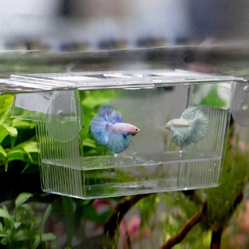 Aquarium Fish Reproduction - ตู้ปลาอะคริลิคแบบใหม่ กล่องเพาะพันธุ์ กล่องแยกปลา กล่องเลี้ยงลูกปลา กล่องเพาะเลี้ยงปลาตัวอ่อน