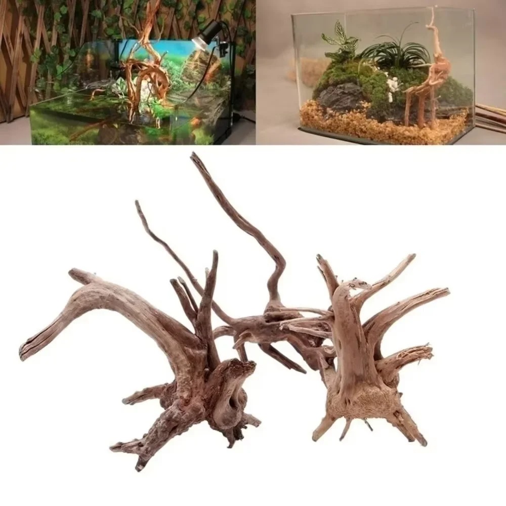 Aquarium Fish Land - (15-20 ซม.) ไม้ลอยน้ำธรรมชาติสำหรับตกแต่งตู้ปลา - ของตกแต่งตู้ปลาคุณภาพพรีเมียม ไม้แท้สำหรับสร้างภูมิทัศน์ในสภาพแวดล้อมน้ำ