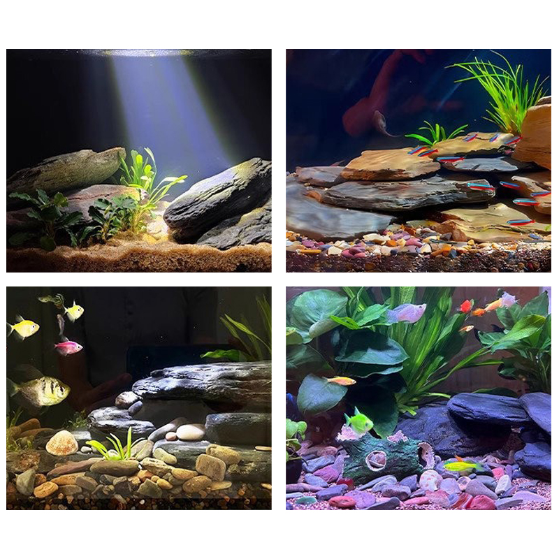 ชุดหินตกแต่งตู้ปลา 500/1000 กร - Aquarium Fish Land บทวิจารณ์และราคา