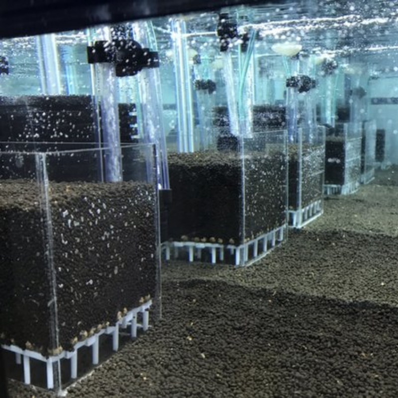 ระบบกรองตู้ปลาอะคริลิกใส กล่อง - Aquarium Fish Reproduction บทวิจารณ์และราคา