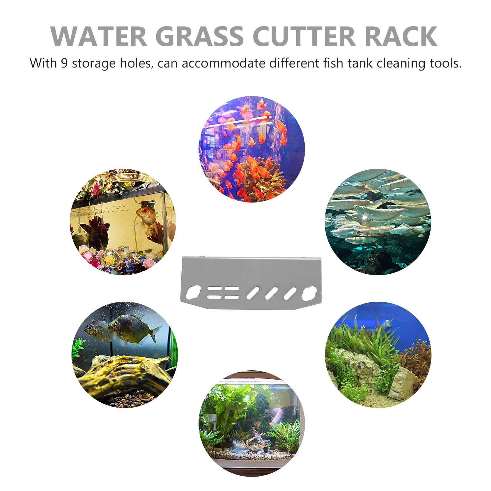 ขาตั้งอุปกรณ์ตู้ปลาแบบพกพาขนาด - Aquarium Fish And Supplies บทวิจารณ์และราคา