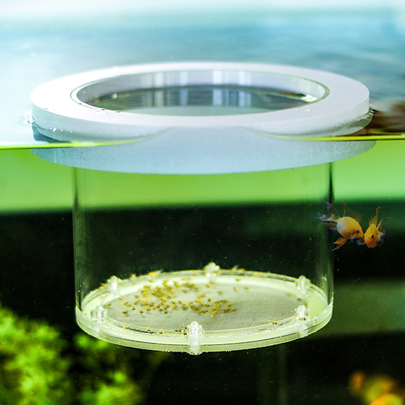 ระงับถังปลา Breeding การแยกกล่ - Aquarium Fish And Supplies บทวิจารณ์และราคา
