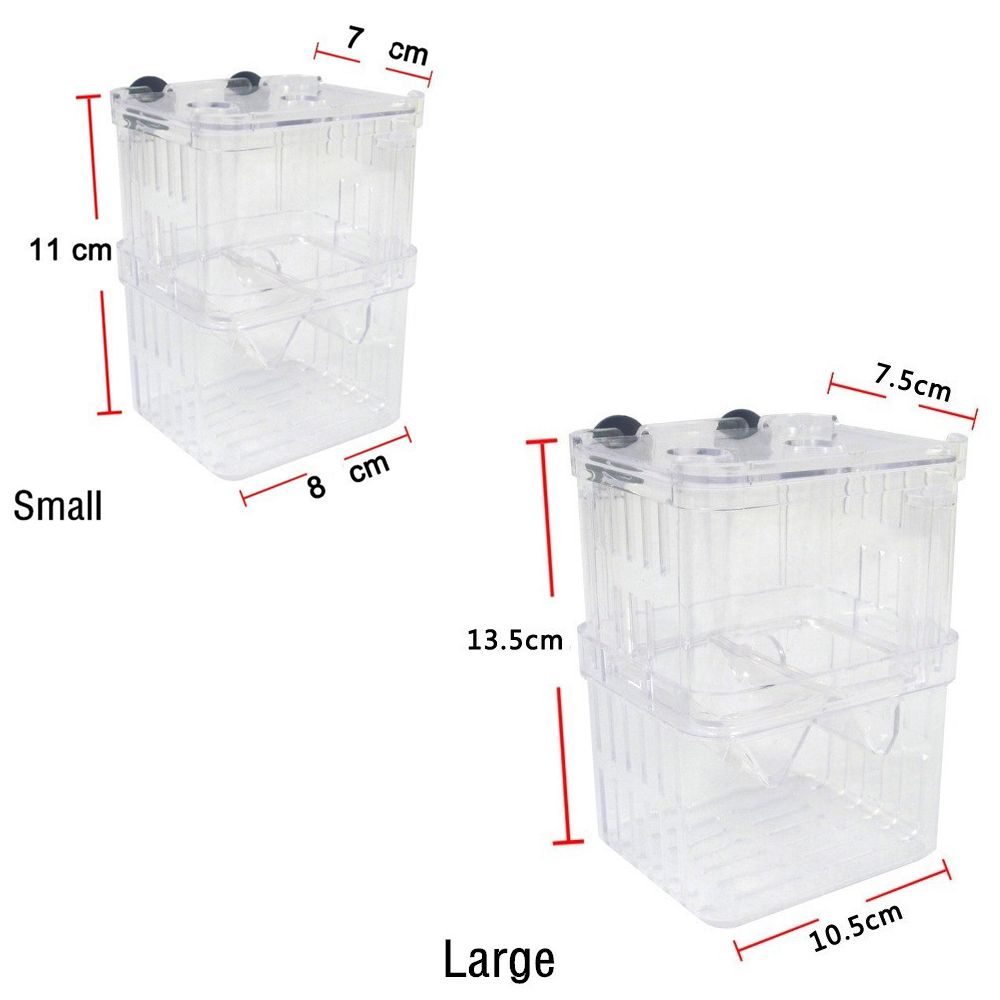 ตู้ปลาสำหรับเลี้ยงลูกปลา กุ้งก - Aquarium Fish Reproduction บทวิจารณ์และราคา