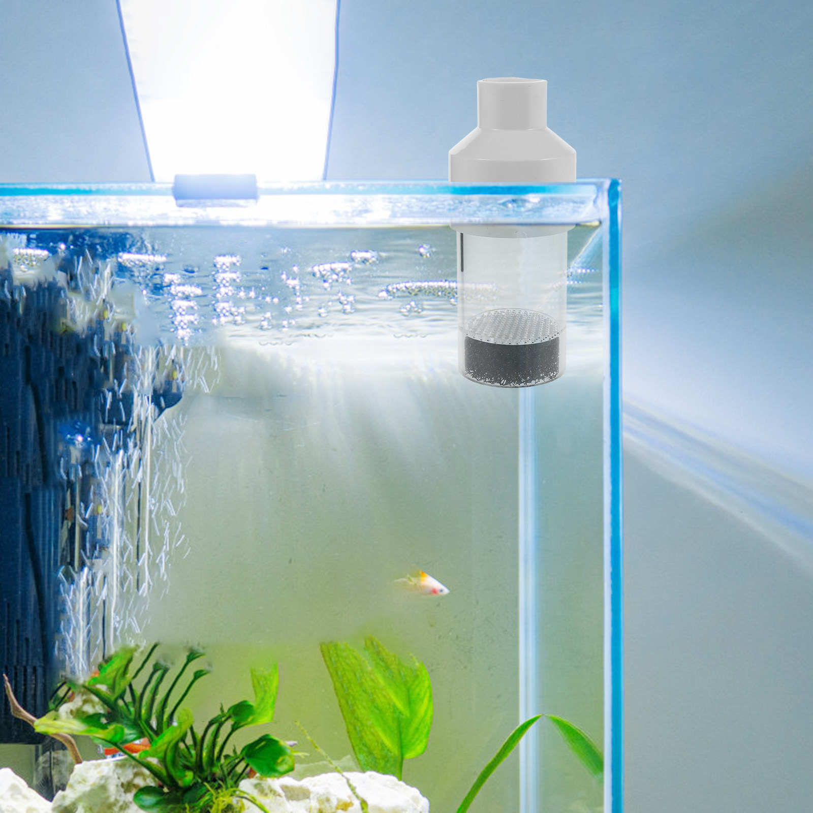 ตู้ฟักไข่ปลา 50 มม. อุปกรณ์เพา - Aquarium Fish Eggs บทวิจารณ์และราคา
