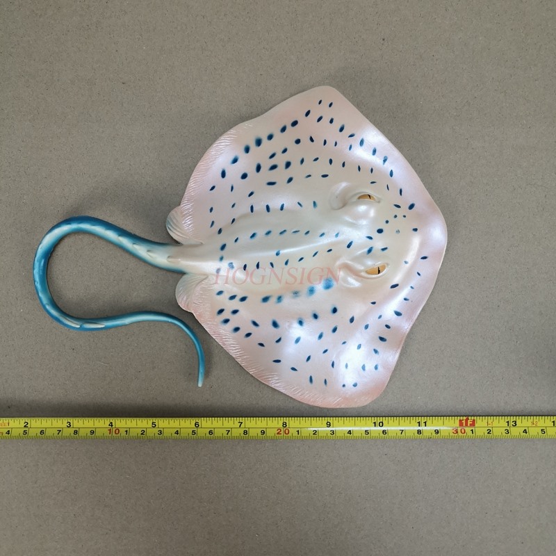 ของเล่นจำลองสัตว์ในตู้ปลา ชุดโ - Aquarium Fish Market บทวิจารณ์และราคา