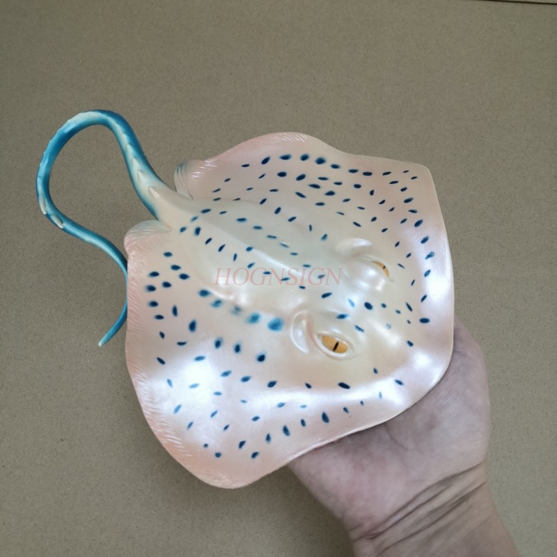 ของเล่นจำลองสัตว์ในตู้ปลา ชุดโ - Aquarium Fish Market บทวิจารณ์และราคา