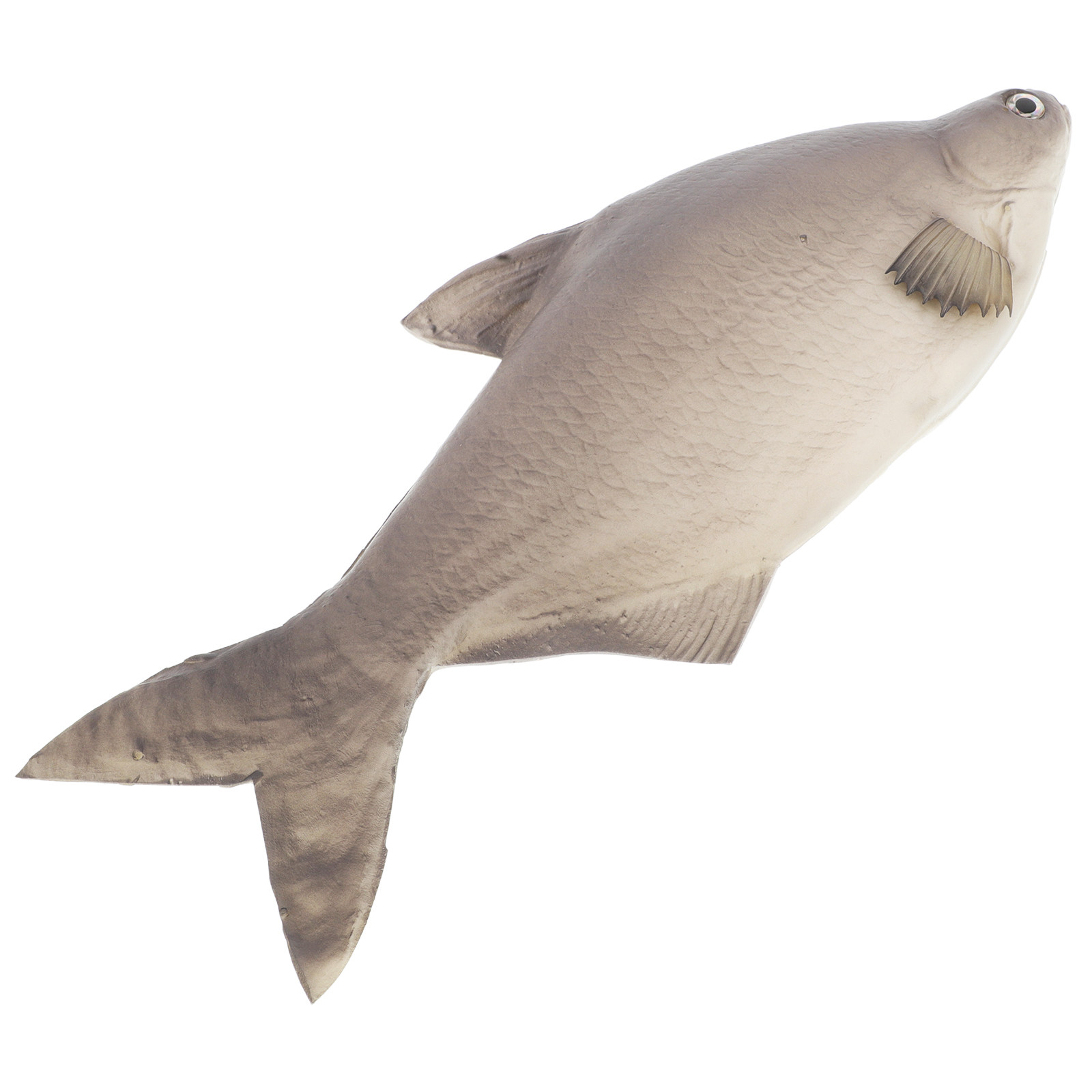 ปลาจำลอง PU แบบละเอียดเหมือนจร - Aquarium Fish Market บทวิจารณ์และราคา
