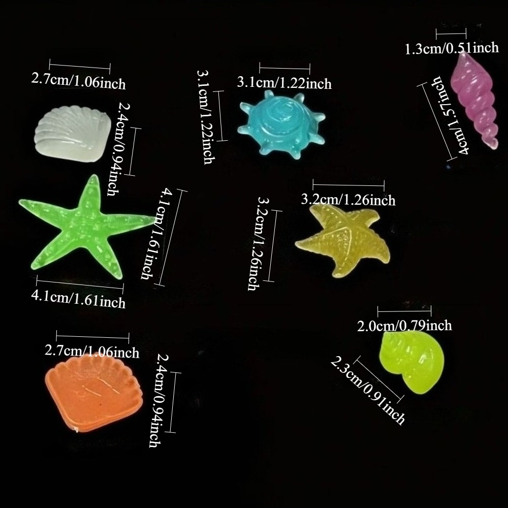 หินเรืองแสงในทะเล เปลือกหอยเรื - Aquarium Fish Land บทวิจารณ์และราคา