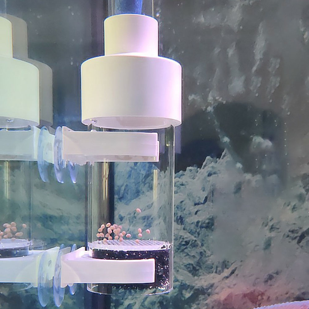 ตู้ฟักไข่ปลาขนาด 40 มม. ตู้ฟัก - Aquarium Fish Eggs บทวิจารณ์และราคา
