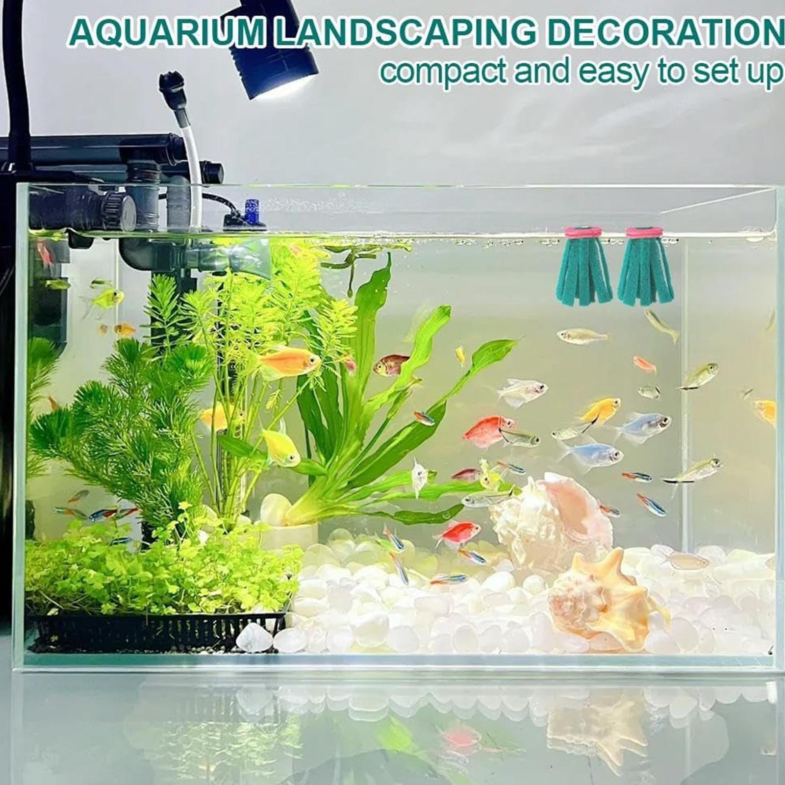ที่เก็บไข่ปลาเบต้าแบบลอยน้ำ 10 - Aquarium Fish Eggs บทวิจารณ์และราคา