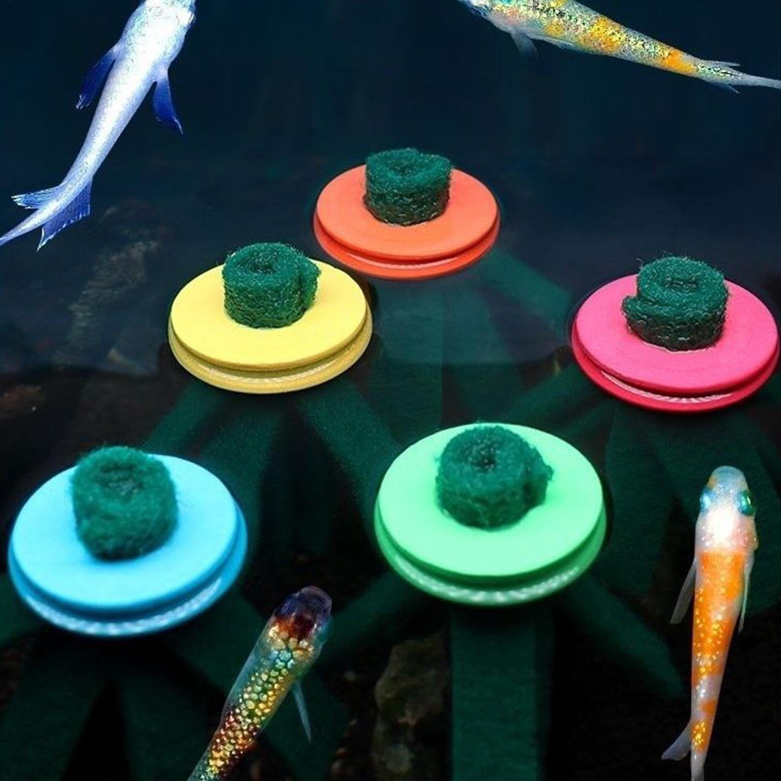 ที่เก็บไข่ปลาเบต้าแบบลอยน้ำ 10 - Aquarium Fish Eggs บทวิจารณ์และราคา