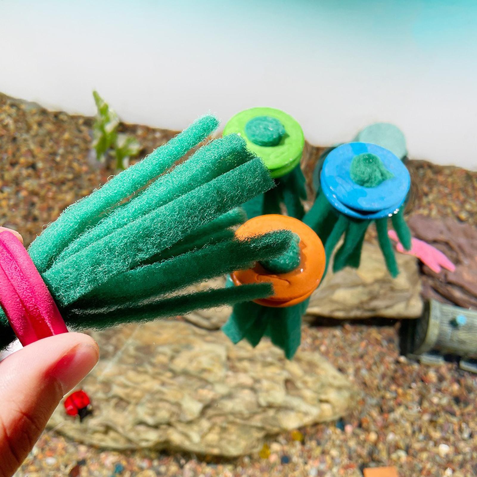 ที่เก็บไข่ปลาเบต้าแบบลอยน้ำ 10 - Aquarium Fish Eggs บทวิจารณ์และราคา