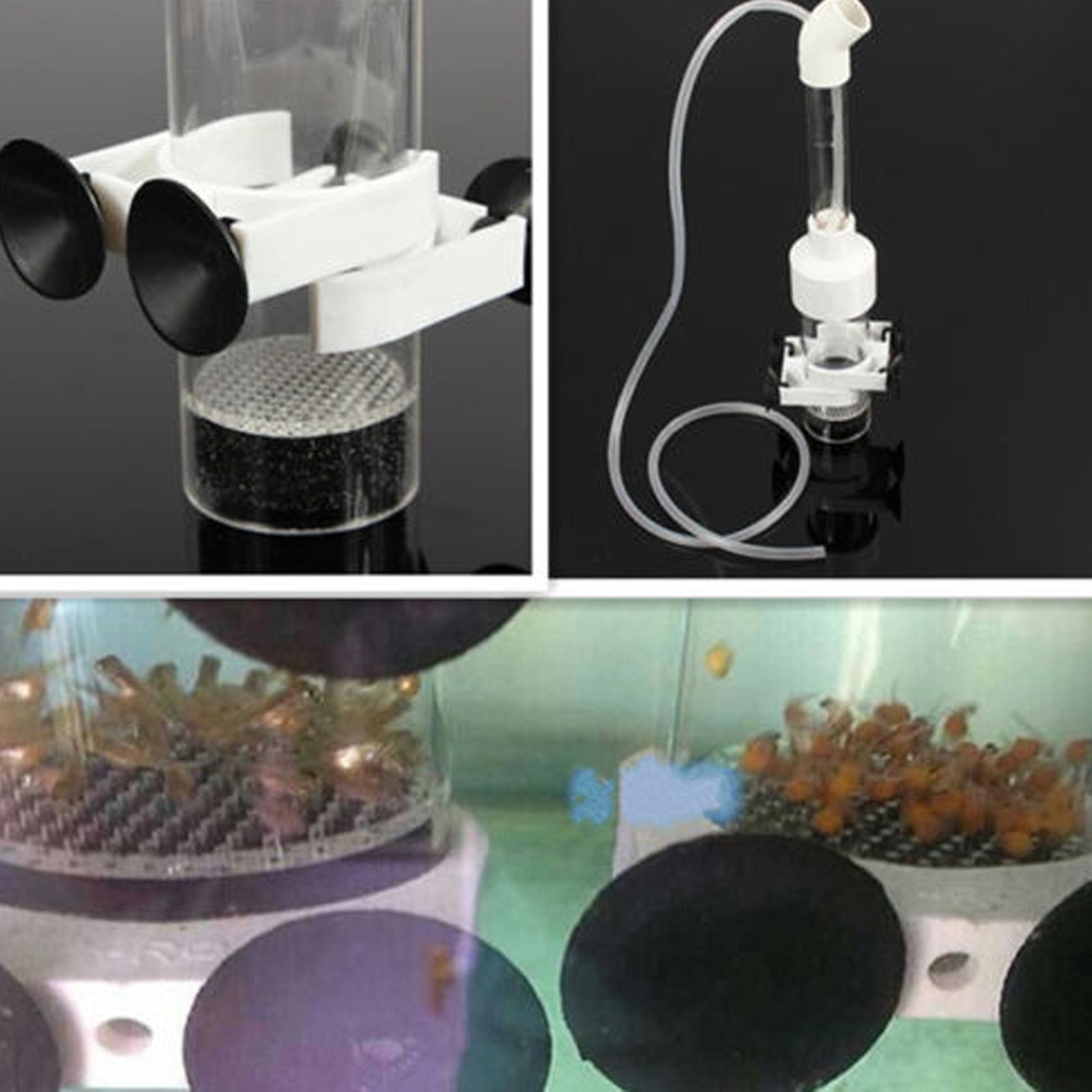 กล่องฟักไข่ปลาอะคริลิค อุปกรณ์ - Aquarium Fish Eggs บทวิจารณ์และราคา