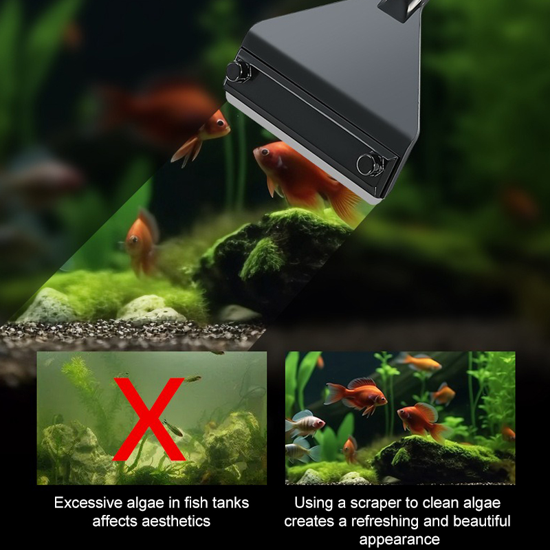 พิพิธภัณฑ์สัตว์น้ําสาหร่ายRemo - Algae Scraper Blade บทวิจารณ์และราคา