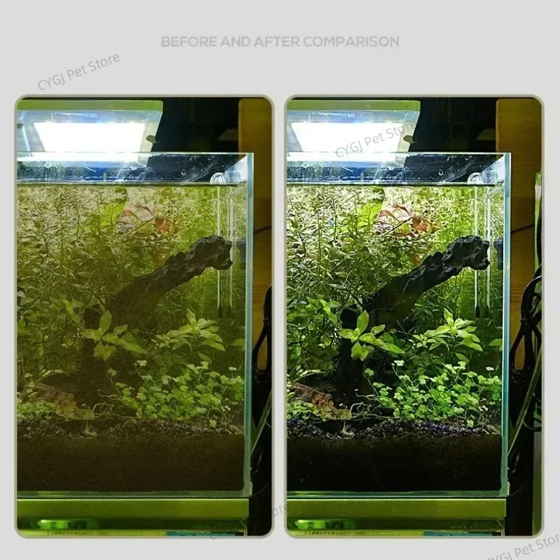 เครื่องมือทําความสะอาดถังปลาแบ - Algae Scraper Blade บทวิจารณ์และราคา