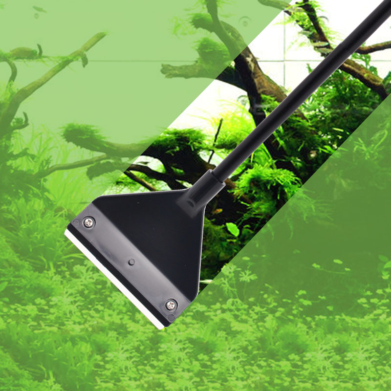 พิพิธภัณฑ์สัตว์น้ําสาหร่ายRemo - Algae Scraper Blade บทวิจารณ์และราคา