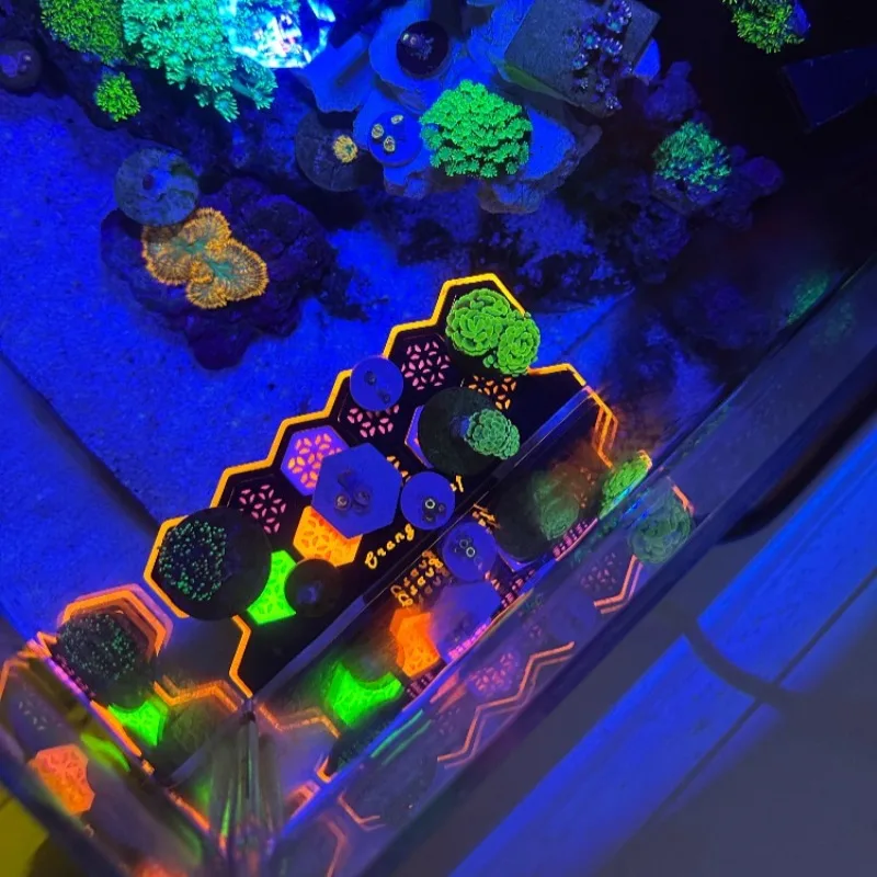 ปลั๊กปะการังเรืองแสง ฐานเพาะพั - Aquarium Fish Reproduction บทวิจารณ์และราคา