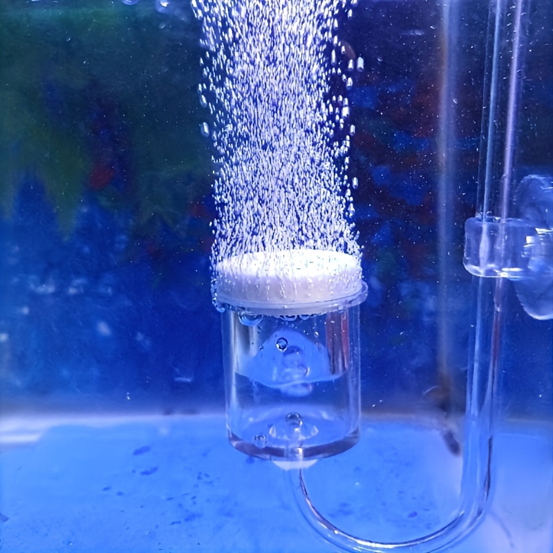 Aquarium Glass CO2 Atomizer Di - Aquarium Fish And Supplies บทวิจารณ์และราคา