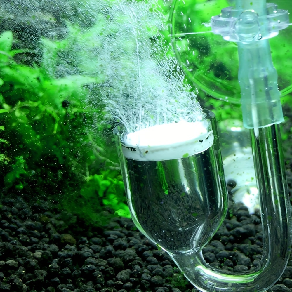Aquarium Glass CO2 Atomizer Di - Aquarium Fish And Supplies บทวิจารณ์และราคา