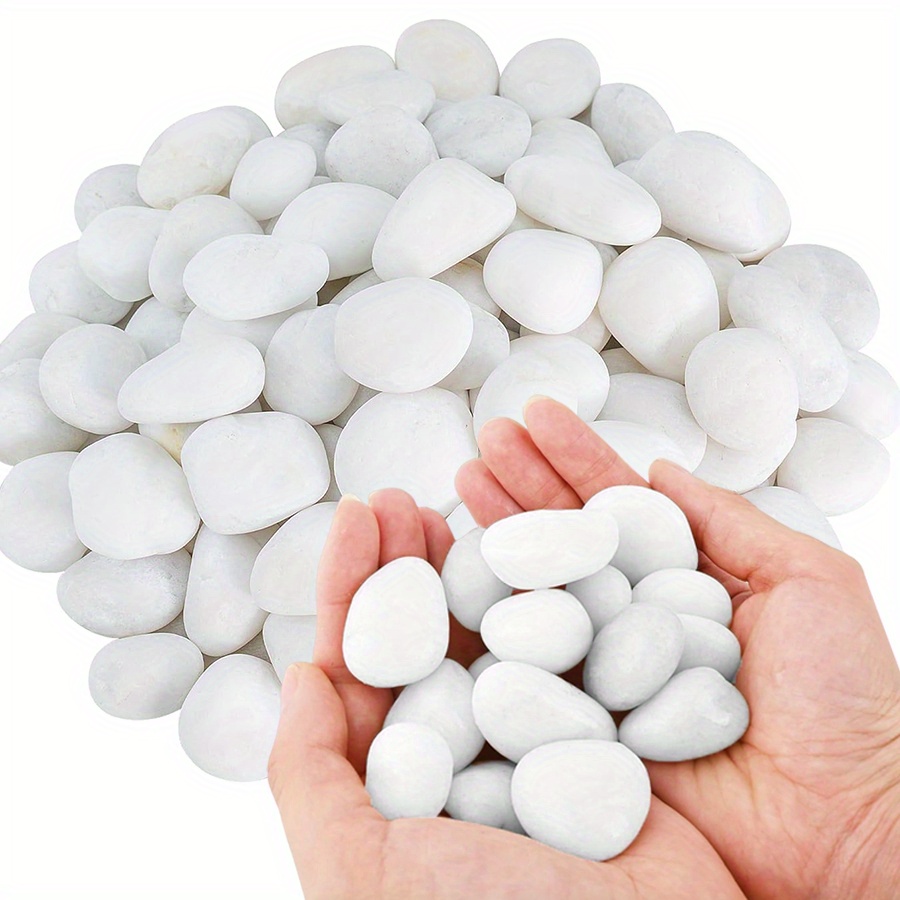 หินกรวดขัดเงาสีขาวธรรมชาติ ขนา - Aquarium Fish Land บทวิจารณ์และราคา