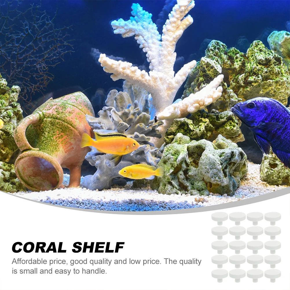 20 ชิ้นกาวปะการัง Reef ปลอดภัย - Aquarium Fish Reproduction บทวิจารณ์และราคา