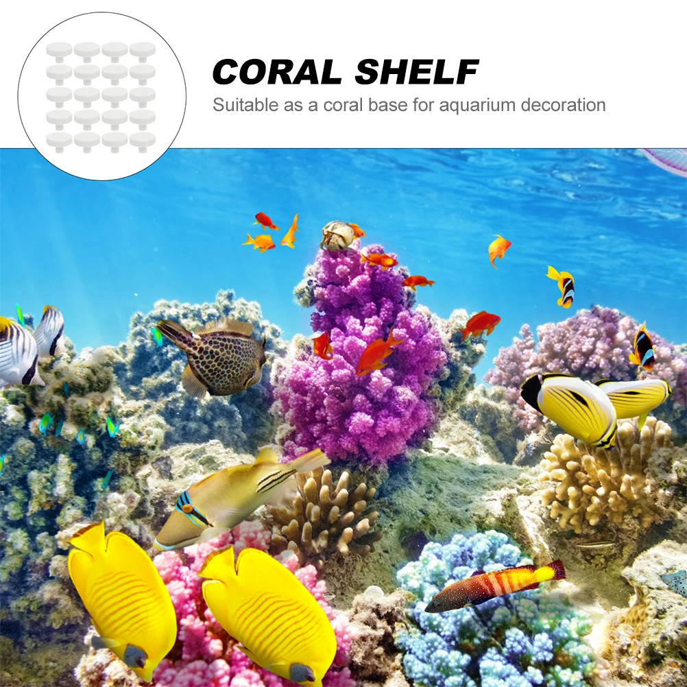 20 ชิ้นกาวปะการัง Reef ปลอดภัย - Aquarium Fish Reproduction บทวิจารณ์และราคา