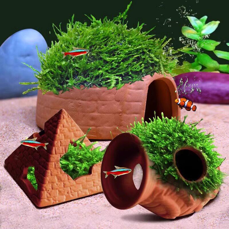   ถังดินเผาพร้อมช่องซ่อนสำหรับ - Aquarium Fish Reproduction บทวิจารณ์และราคา