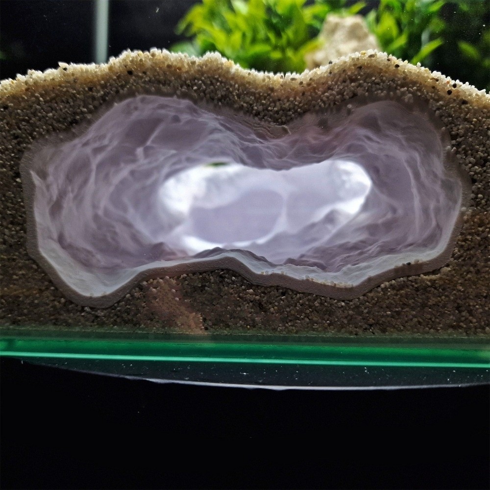 ตู้ปลาจำลองเสมือนจริง พร้อมภูม - Aquarium Fish Reproduction บทวิจารณ์และราคา
