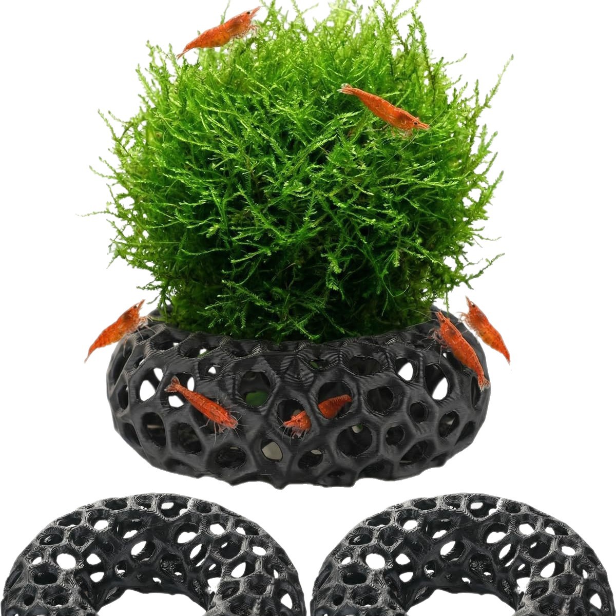 บ้านหลบหนีสำหรับปลาและกุ้งที่พ - Aquarium Fish Reproduction บทวิจารณ์และราคา