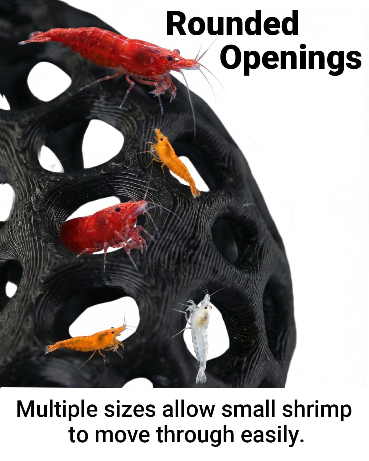 บ้านหลบหนีสำหรับปลาและกุ้งที่พ - Aquarium Fish Reproduction บทวิจารณ์และราคา