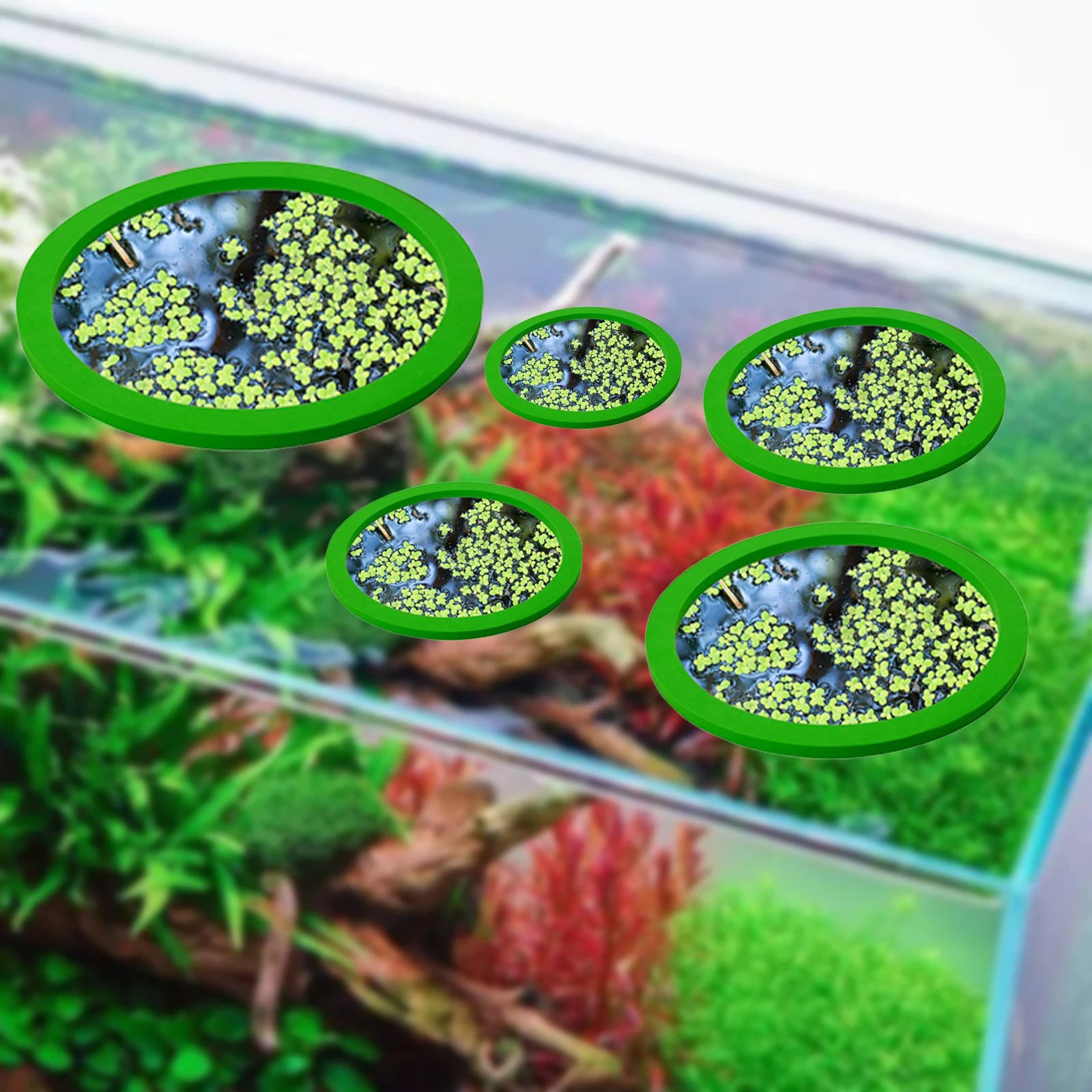 5 ชิ้น EVA ปลา Feeding แหวน Aq - Aquarium Fish Land บทวิจารณ์และราคา