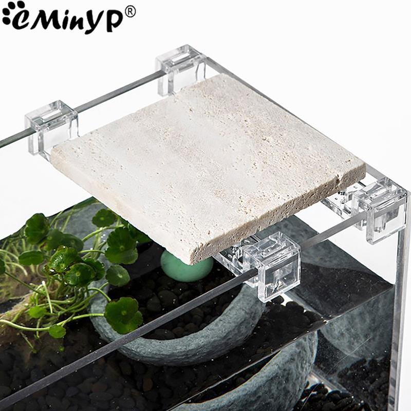 4 ชิ้นถังปลาคลิปอะคริลิคสําหรั - Aquarium Fish And Supplies บทวิจารณ์และราคา