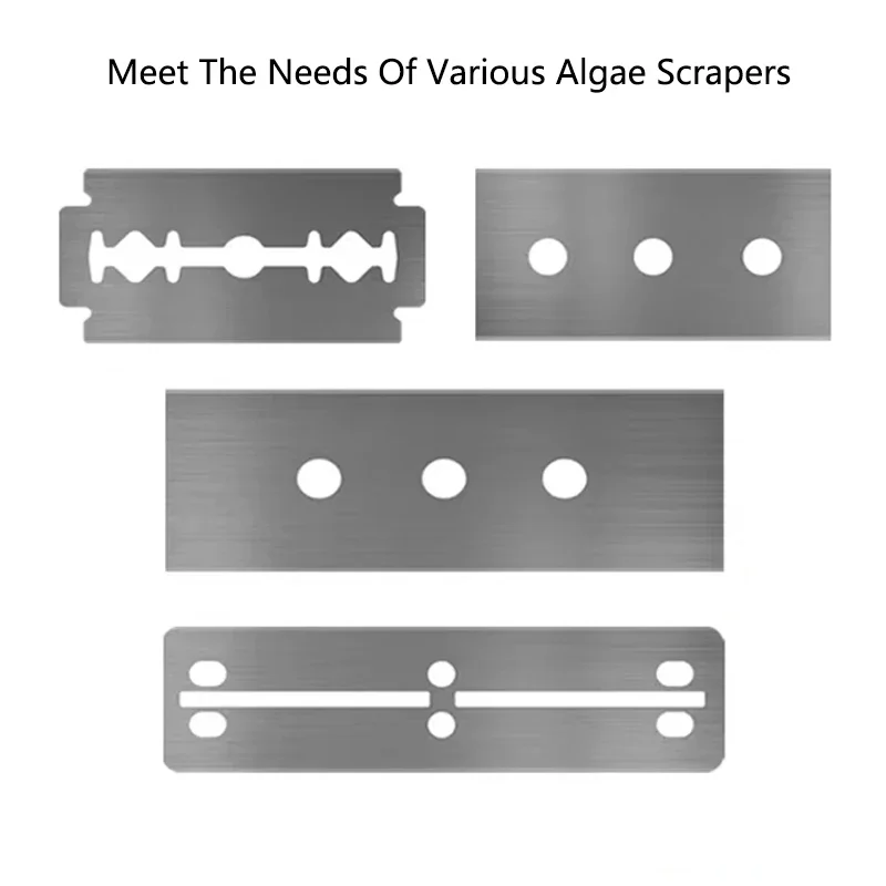 10pcs Aquarium Algae Remover S - Algae Scraper Blade บทวิจารณ์และราคา