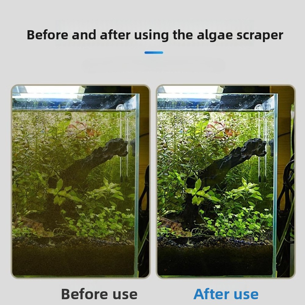 เครื่องมือทำความสะอาดกระจกตู้ป - Algae Scraper Blade บทวิจารณ์และราคา