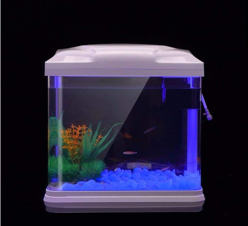 ถังปลา Rocks Glow Blue Pebbles - Aquarium Fish Land บทวิจารณ์และราคา