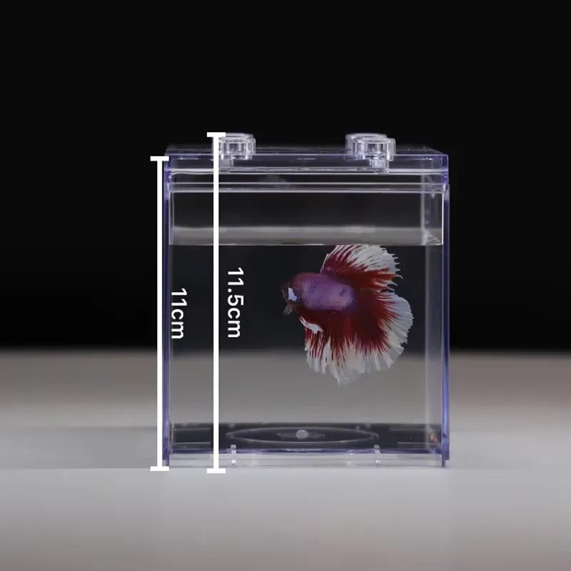 ตู้ปลาขนาดเล็ก Relaxlines พร้อ - Aquarium Mini Fish บทวิจารณ์และราคา