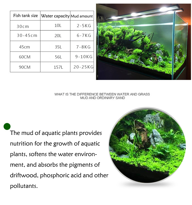 พิพิธภัณฑ์สัตว์น้ำเมล็ดพืชดิน  - Aquarium Fish Land บทวิจารณ์และราคา