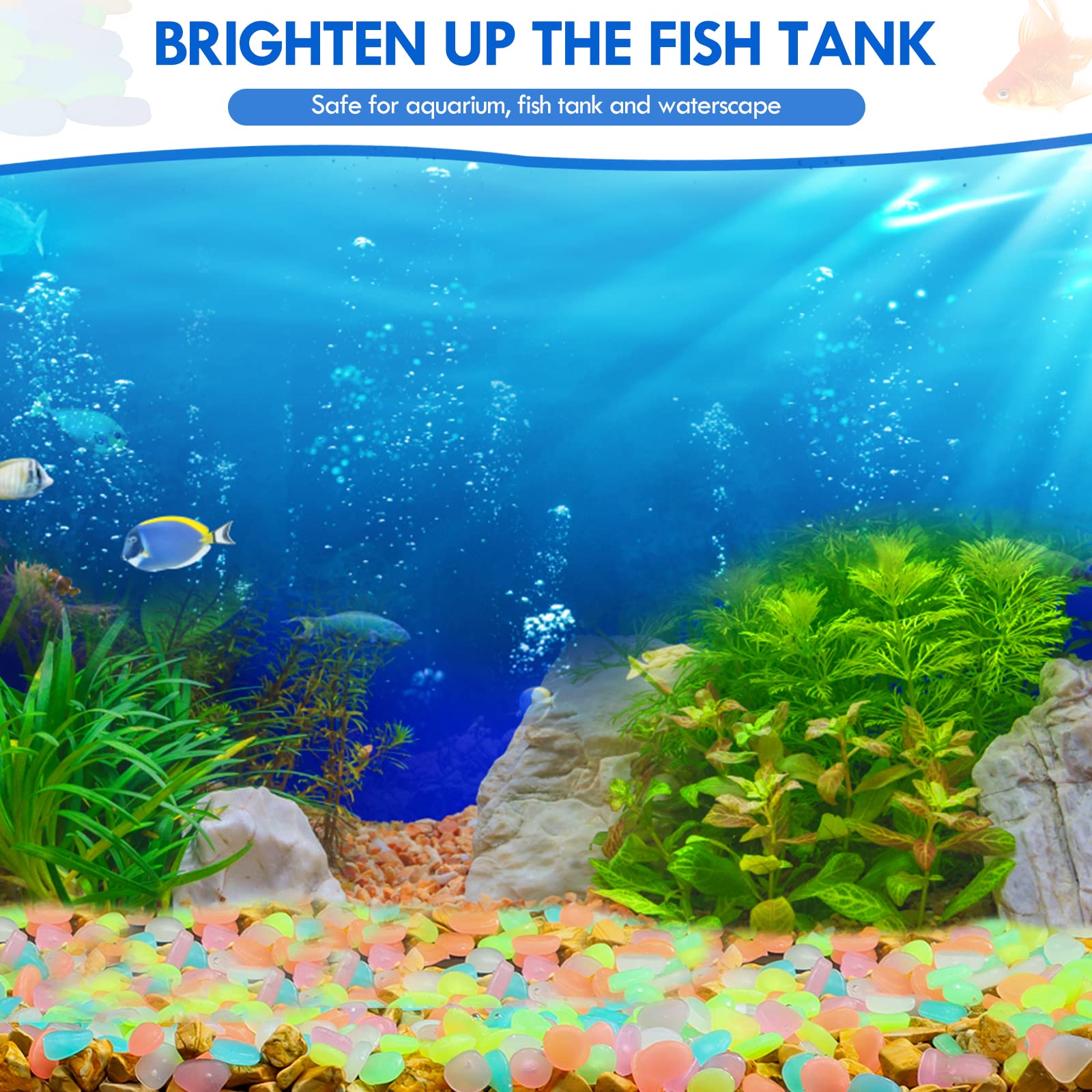 100 ชิ้น Glow in the Dark Gard - Aquarium Fish Land บทวิจารณ์และราคา