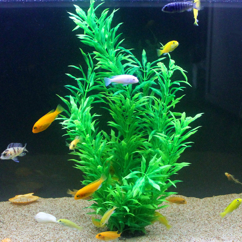 50 ซม.ถังปลาประดิษฐ์พืชหายากAq - Aquarium Fish Land บทวิจารณ์และราคา