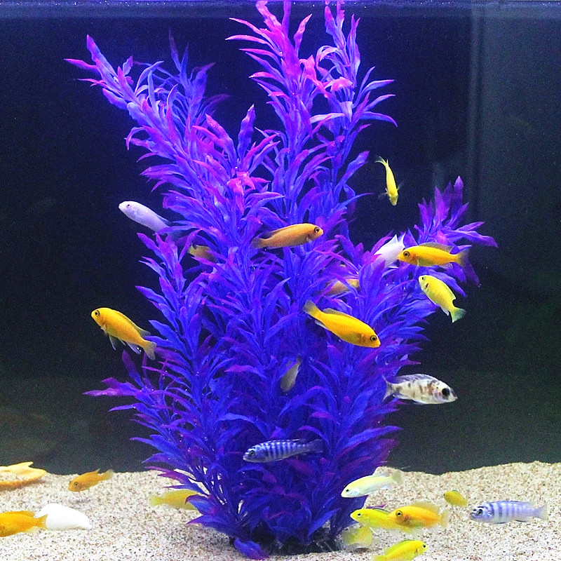 50 ซม.ถังปลาประดิษฐ์พืชหายากAq - Aquarium Fish Land บทวิจารณ์และราคา