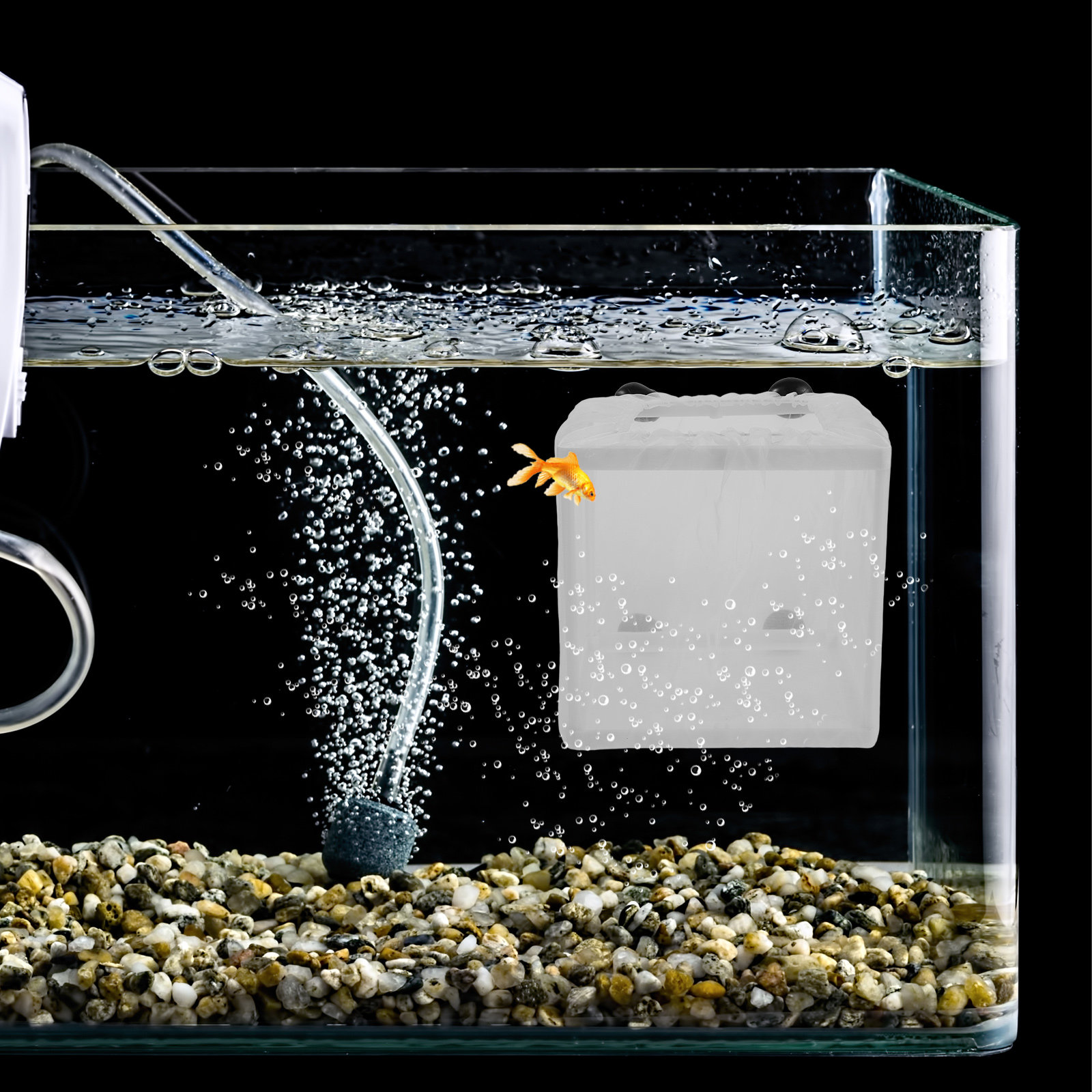 กล่องเพาะพันธุ์ปลา 2 ชิ้น กล่อ - Aquarium Fish Eggs บทวิจารณ์และราคา