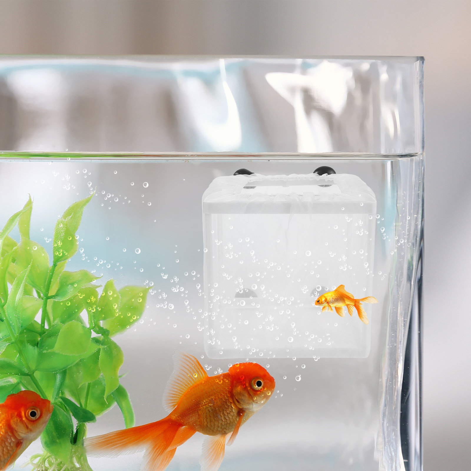 กล่องเพาะพันธุ์ปลา 2 ชิ้น กล่อ - Aquarium Fish Eggs บทวิจารณ์และราคา